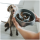 Eine Person hält eine graue langsame Futter-Schüssel, die mit Hundefutter gefüllt ist, während ein Hund aufmerksam im Hintergrund sitzt.