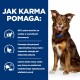 Szczęśliwy brązowo-biały pies siedzi obok niebieskiego tła z tekstem w języku polskim opisującym, jak karma dla psów pomaga w utracie wagi i energii.