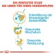 Ein perfekter Start ins Leben für Ihren Hundewelpen: Unterstützung der körpereigenen Abwehrkräfte, gesundes Wachstum, gesunde Verdauung.