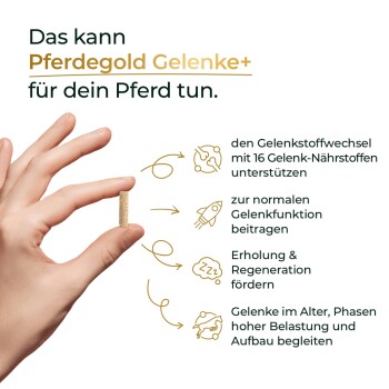 Hand, die eine kleine Tablette hält, neben dem Text 'Das kann Pferdegold Gelenke+ für dein Pferd tun.' und Symbolen, die Gelenk-Vorteile zeigen.