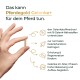 Hand, die eine kleine Tablette hält, neben dem Text 'Das kann Pferdegold Gelenke+ für dein Pferd tun.' und Symbolen, die Gelenk-Vorteile zeigen.