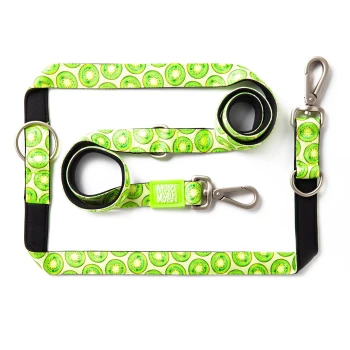 Hundeleinen- und Halsband-Set mit grünem Kiwifruchtmuster und Metallverschlüssen, mit einem „Max & Molly“-Etikett.