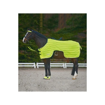 Ein Pferd, das eine leuchtend gelbe gestreifte Decke und passende Beinschützer trägt, steht in einer Außenarena mit verschwommenem Hintergrund.