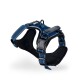 Blaues Hundegeschirr mit gepolstertem Innenraum und verstellbaren Riemen, mit einem Metall-D-Ring zur Leinenbefestigung.