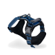 Blaues Hundegeschirr mit gepolstertem Innenraum und verstellbaren Riemen, mit einem Metall-D-Ring zur Leinenbefestigung.