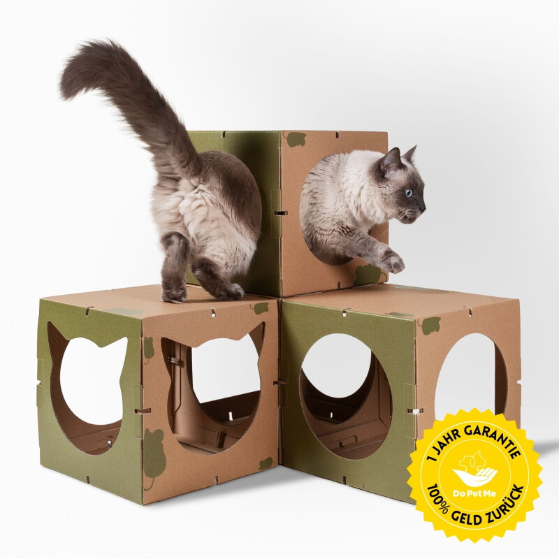 DoPetMe Katzenhaus The Kitten Castle