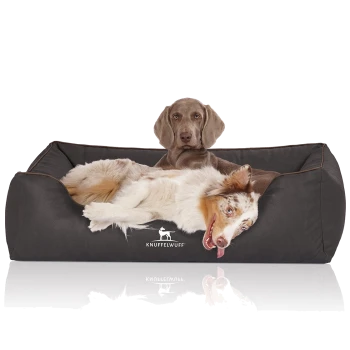 Ein komfortables Hundebett in Dunkelbraun mit einem Logo, das "KNUFFELWUFF" liest, mit einem entspannten Hund, der darauf liegt.