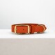 Leder Halsband Orange XL