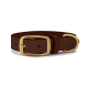Braunes Leder-Haustierhalsband mit einer goldenen Schnalle und Schlaufe, auf einem weißen Hintergrund dargestellt.