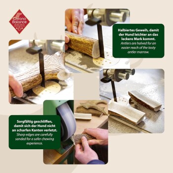 Bild der Geweihvorbereitung für Hunde: Sägen, Schleifen zur Sicherheit und deutscher Text über das Halbieren von Geweihen für den Zugang zum Mark.
