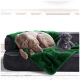 Ein grauer Weimaraner, der auf einem schwarzen Sofa mit einer grünen Decke schläft, neben einem kleinen schwarzen Pudel, der aufrecht sitzt.