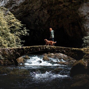 Eine Person mit lockigem Haar und einer grünen Jacke führt einen Golden Retriever über eine moosbedeckte Steinbrücke über einen fließenden Fluss.
