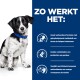 Een zwart-witte hond zit tegen een blauwe achtergrond met tekst over de verteerbaarheid van een huisdiervoeding formule en omega-3 voordelen.