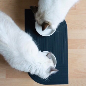 Zwei weiße Katzen mit dunklen Ohren, die aus weißen Schalen auf einer schwarzen Fütterungsmatte fressen, von oben betrachtet.