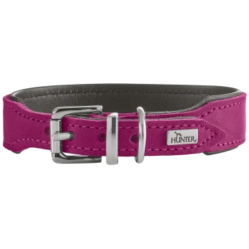 Hundehalsband aus fuchsiafarbenem Wildleder mit silberner Schnalle und D‑Ring, dunkelgrauem Futter und Metallplakette mit der Aufschrift 'HUNTER'.