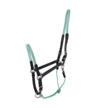 Equimero Trainingshalfter Taomero WB (Warmblut)