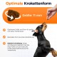 Bild eines Hundes, der zu einer Hand aufblickt, die ein Stück Futter hält. Der Text hebt die optimale Form und Größe des Futters (11 mm) für Hunde hervor.