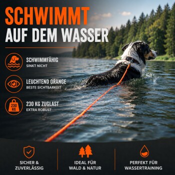 Nasser weiß-brauner Hund an einer orangefarbenen Leine steht in einem flachen Fluss nahe einem umgestürzten Baumstamm mit Grün im Hintergrund.