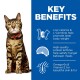 A Bengal cat in a red collar sits on a white background, with text on low calories, protein, and Omega-6s for health benefits.