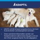 Golden Retriever Mutter säugt mehrere Welpen auf Holzboden; ADAPTIL-Logo und deutscher Text über beruhigende Pheromone.