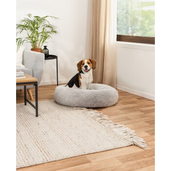 Ein Beagle sitzt in einem gemütlichen grauen Haustierbett auf einem Holzboden, mit einer Topfpflanze und einem kleinen schwarzen Tisch in der Nähe.