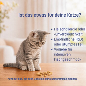 Darum KatKare! Dose und Diagramm: '4+ Wochen' mit Häkchen bei Gesundheit, Monoprotein, Vitamin C; Wettbewerber zeigen 'Nein'
