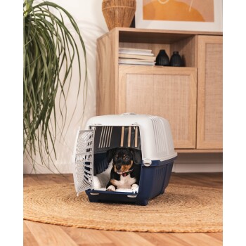 Ein kleiner Hund mit einem schwarz-braunen Fell sitzt bequem in einer blauen und grauen Haustiertrage, die auf einem runden, gewebten Teppich in einem gemütlichen Raum platziert ist.