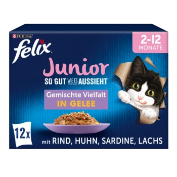 Felix Junior Katzenfutterverpackung zeigt eine verspielte Katze in einer Box, beschriftet mit "Gemischte Vielfalt in Gelee" mit Rind, Huhn, Sardine, Lachs Geschmäckern.