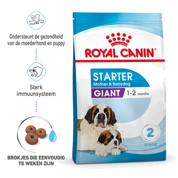 Royal Canin Starter Mother & Babydog voedsel voor grote rassen, geschikt voor puppy's van 1-2 maanden, met een St. Bernard en een puppy.