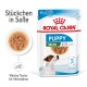Royal Canin Puppy Mini Nassfutterverpackung für Hunde, mit einem kleinen Hund und einer Schüssel mit weichen Stückchen in Soße, gekennzeichnet für Welpen von 2-10 Monaten.