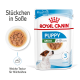 Royal Canin Puppy Mini Nassfutterverpackung für Hunde, mit einem kleinen Hund und einer Schüssel mit weichen Stückchen in Soße, gekennzeichnet für Welpen von 2-10 Monaten.