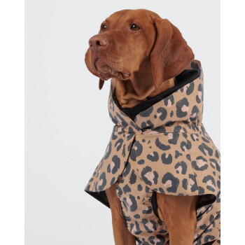 Brauner Hund trägt einen leopardgemusterten Kapuzenmantel, sitzt und schaut nach oben vor hellgrauem Hintergrund.