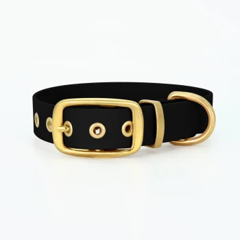 Biothane Halsband Gold Schwarz L Schwarzes Haustierhalsband mit goldener Schnalle und Beschlägen, mit mehreren Löchern zur Anpassung.