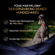 Grauer Hund mit rotem Halsband neben der deutschen Überschrift 'FÜGE FORTIFLORA DER ERNÄHRUNG DEINES HUNDES HINZU' und drei Aufzählungspunkten.