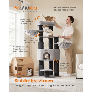 Mann mit drei Katzen auf einem grauen mehrstöckigen Kratzbaum und einem Papp-Katzenhaus; sichtbarer Text ‚Stabiler Kratzbaum‘ und feandrea.