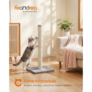 Grau-getigerte Katze benutzt hohen Sisal-Kratzpfosten in sonnigem Wohnzimmer; sichtbarer Text 'feandrea' und 'Hohe Kratzsäule'.