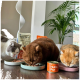 Drei Katzen, die aus Schalen auf dem Boden fressen, mit einer Dose "Huhn Pur" und Tüten mit "Fresher Fish" Haustierfutter im Hintergrund.
