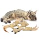 6er Set Catnip Lederkissen
