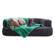 Ein großer brauner Hund und ein kleiner schwarzer Hund ruhen auf einer dunkelgrauen Couch, die mit einer lebhaft grünen Decke bedeckt ist.