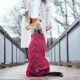 Hundepullover Malmö anthrazit 40 cm