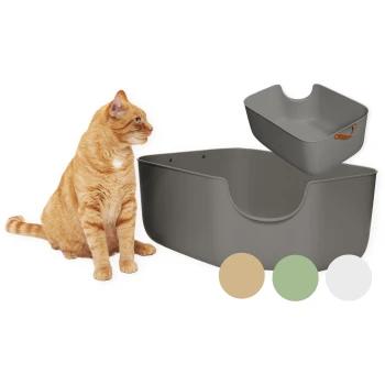 Eine orangefarbene getigerte Katze sitzt neben einer großen grauen Katzentoilette und einer kleineren grauen Schaufel, mit Farbmustern in Beige, Grün und Weiß darunter.