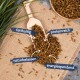 Eine Holzschaufel mit insektenbasiertem Haustierfutter auf Jute, mit verstreuten Stücken und Etiketten: "fetthaltig," "proteinreich," "naturbelassen," "energiespendend."