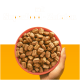Eine Hand hält eine rosa Schüssel, gefüllt mit Haustierfutter-Kroketten, mit dem Text "mit Superfood - Zutaten" auf orangefarbenem Hintergrund.
