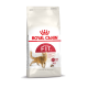 Sac de nourriture pour chats Royal Canin Regular Fit 32 avec une illustration de chat brun, avec un texte mettant en avant le profil nutritionnel optimal et les bienfaits pour la santé.