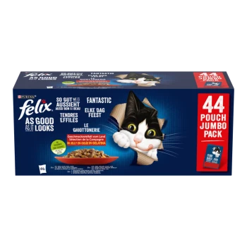Purina Felix Katzenfutter 44 Beutel Jumbo-Pack mit Bild einer schwarz-weißen Katze und Text "So gut wie es aussieht" in mehreren Sprachen.