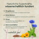 Deutsches Plakat 'Natürliche Superkräfte, wissenschaftlich fundiert' mit Ringelblume, Minze, Kornblume, Brennnessel und Samen.