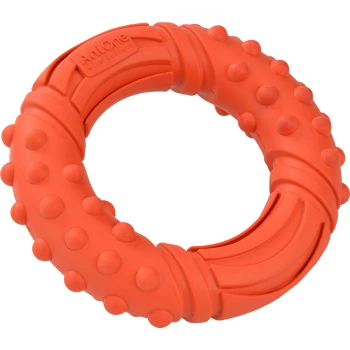 Bright orange rubber dog toy in a circular shape with textured bumps for grip and play. Features "AntOne" branding.