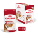 Royal Canin mittelalterliches Hundefutter, 140g Beutel, Packung mit 10. Enthält Soße und Unterstützung der Muskelmasse.