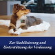 Braun-weiß gefleckter Hund auf weißer Matte, grünes Schild; Text: 'Zur Stabilisierung und Unterstützung der Verdauung'.