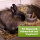Braunes Kaninchen in einem mit Heu ausgelegten Käfig mit grünem Etikett: 'Für Nagerstall, Hühnerstall und Vogelzucht'.